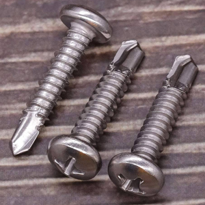 Stainless Steel Screws